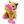 Load image into Gallery viewer, Idol Horse Friends Agera Gyaru S Size Plush Mascot with a ball chain
