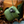 Load image into Gallery viewer, My Neighbor Totoro Acorn Shaker Keychain

