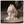 Load image into Gallery viewer, SKULLPANDA The Feast Begins Blind Box Series POP MART
