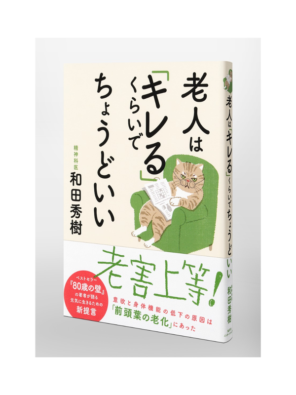 It's Fine for Seniors to Get Angry Book by Hideki Wada Japanese