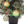Load image into Gallery viewer, COJI-COJI Christmas Mini Tree Set
