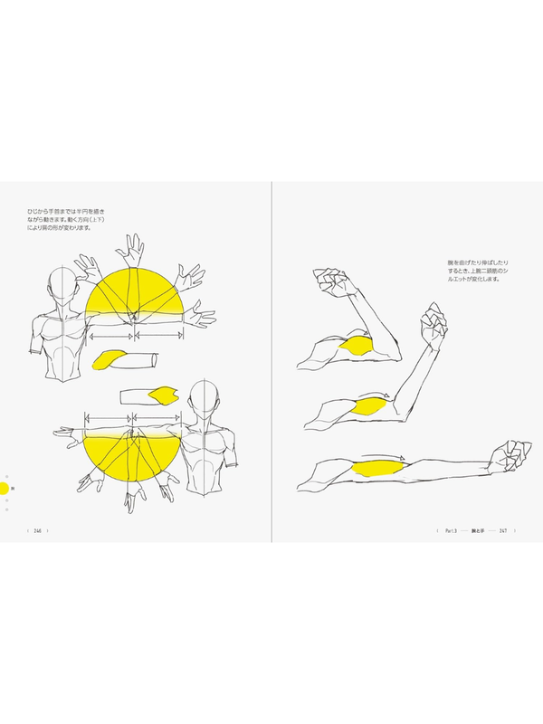 TACO's Human Figure Drawing Guide 390 Tips