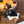 Load image into Gallery viewer, Kiki's Delivery Service Jiji Black Telephone Music Box
