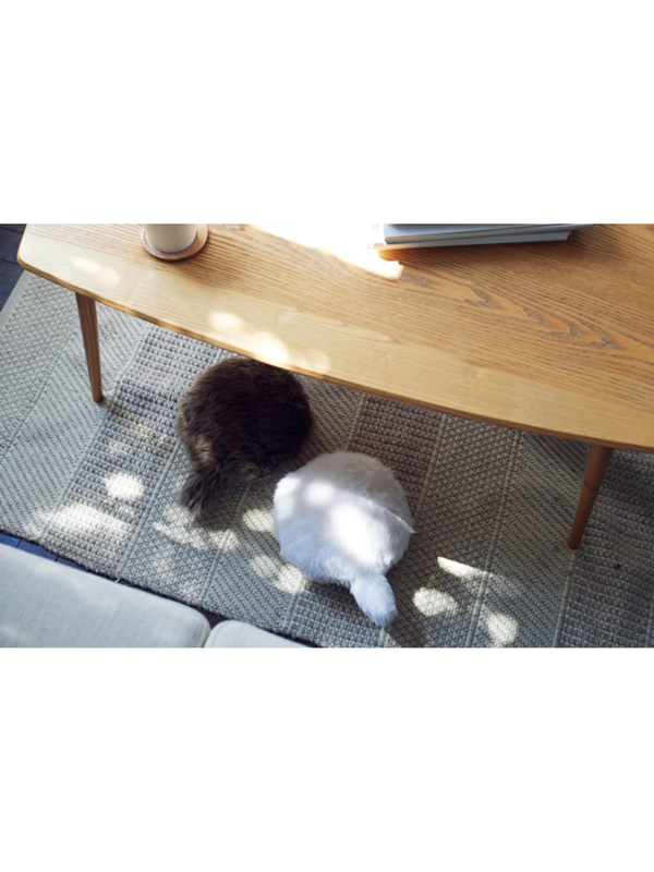 Petit Qoobo Tail Cushion Therapy Robot