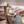 Load image into Gallery viewer, My Neighbor Totoro Forest Faucet Bud Vase
