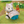 Load image into Gallery viewer, Sylvanian Families Latte Cat Exploration Set Toy Figure
