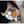 Load image into Gallery viewer, Haikyu!! Kenma Cat Plush Nap Cushion
