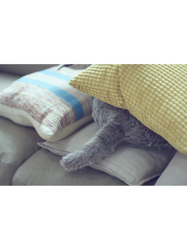 Qoobo Tail Cushion Therapy Robot