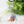 Load image into Gallery viewer, Ponyo Jellyfish Keychain
