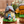 Load image into Gallery viewer, My Neighbor Totoro Ceramic Music Box
