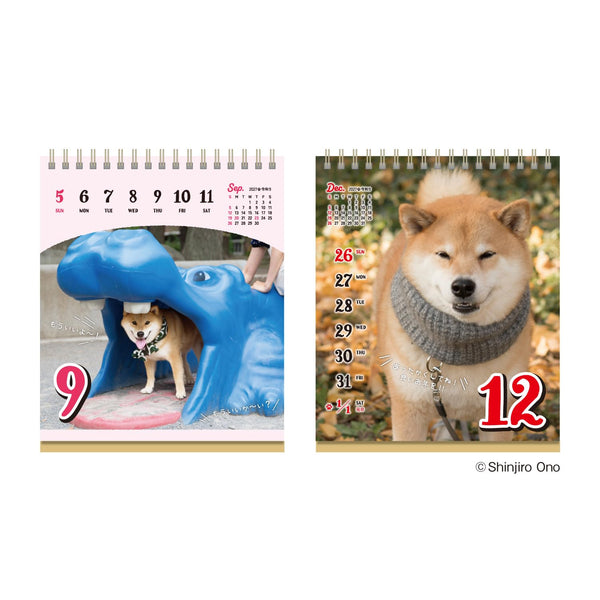 Shiba Inu Maru 2027 Weekly Desk Calendar