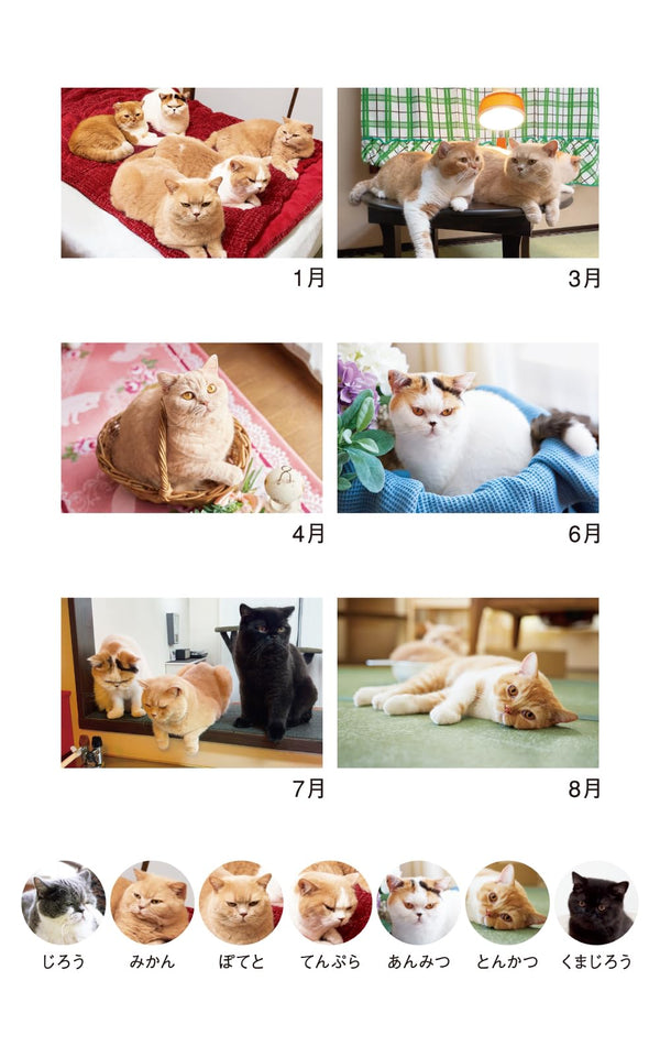 2027 Cat Calendar – Life with Cats, Mikan & Jiro’s Family