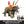 Load image into Gallery viewer, Mattel Jurassic World Triceratops Action Figure JKL81 [Pre-order]
