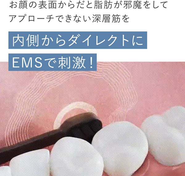 YA-MAN Oral Lift EMS Electric Toothbrush & Facial Care Device