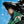 Load image into Gallery viewer, The Call Echoing Across the Ocean Manga - Japanese Edition

