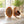 Load image into Gallery viewer, TTETNLY Beech Wood Air Cushion Massage Brush
