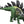Load image into Gallery viewer, Mattel Jurassic World Giant Thrash Stegosaurus Action Figure

