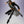 Load image into Gallery viewer, S.H.Figuarts Jotaro Kujo Figure JoJo Stardust Crusaders Action Figure
