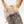 Load image into Gallery viewer, Hansa BH7497 Jerboa Plush Toy Realistic Animal

