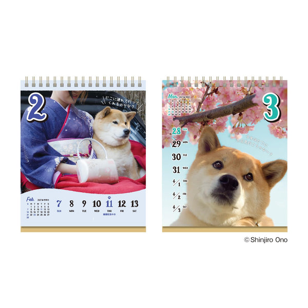 Shiba Inu Maru 2027 Weekly Desk Calendar