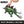 Load image into Gallery viewer, Mattel Jurassic World Giant Thrash Stegosaurus Action Figure
