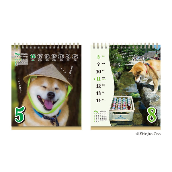 Shiba Inu Maru 2027 Weekly Desk Calendar