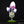 Load image into Gallery viewer, Motion Sensor LED Mushroom Light “Nemash”
