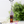 Load image into Gallery viewer, Spirited Away Boh Mouse &amp; Fly Bird Keychain
