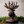 Load image into Gallery viewer, Princess Mononoke Forest Spirit Accessory Tray Jewelry Holder
