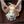 Load image into Gallery viewer, Howl’s Moving Castle Hin Dog Plush Mop
