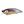 Load image into Gallery viewer, Megabass I×I FURIOUS 0.5 Shallow Diving Lure High Speed Crankbait Fishing Lure
