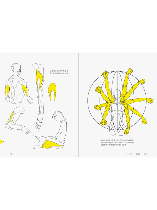TACO's Human Figure Drawing Guide 390 Tips