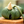 Load image into Gallery viewer, My Neighbor Totoro Acorn Shaker Keychain
