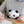 Load image into Gallery viewer, Panda Kopanda Pan-chan Funbaruzu Plush
