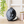 Load image into Gallery viewer, Kiki’s Delivery Service Jiji Compact Mirror (Black)
