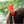 Load image into Gallery viewer, Arrietty Hair Clip Clothespin – The Secret World of Arrietty Inspired
