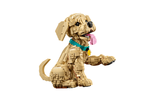 LEGO Icons Golden Retriever Puppy 11384 – Adult Building Set