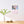 Load image into Gallery viewer, Shiba Inu Maru 2026 Wall Calendar – Small Size
