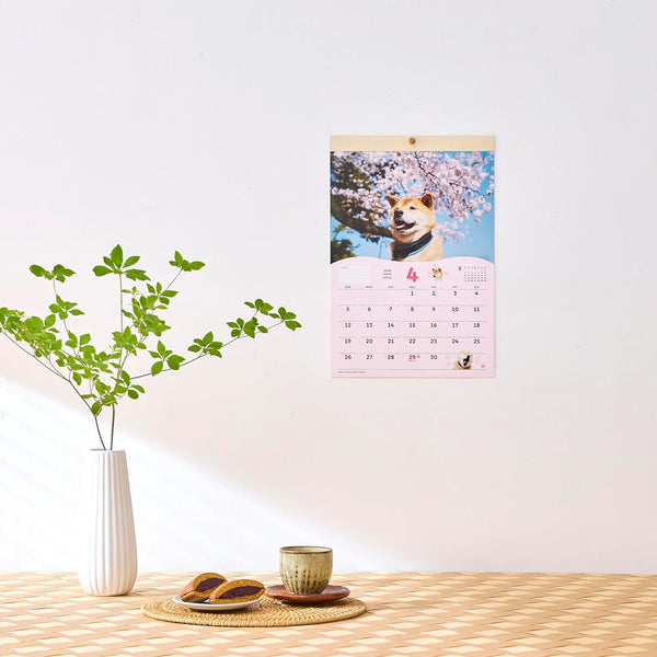 Shiba Inu Maru 2026 Wall Calendar – Small Size