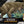 Load image into Gallery viewer, Mattel Jurassic World Distortus Rex Giant Dinosaur Figure JKG95 [Pre-order]
