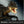Load image into Gallery viewer, Mattel Jurassic World Hammond Collection Scorpios Rex Action Figure JKG97 [Pre-order]
