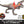 Load image into Gallery viewer, Mattel Jurassic World Battle Damage Indominus Rex Dinosaur Figure JLD20 [Pre-order]
