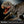 Load image into Gallery viewer, Mattel Jurassic World Hammond Collection Indominus Rex Action Figure JKG98 [Pre-order]
