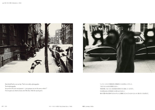 Saul Leiter: All About Saul Leiter Japanese Photography Art Book