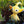 Load image into Gallery viewer, Sanei Boeki Pikmin Plush Toy – Yellow Pikmin ALL STAR COLLECTION
