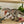 Load image into Gallery viewer, Mattel Jurassic World Hammond Collection Indominus Rex Action Figure JKG98 [Pre-order]
