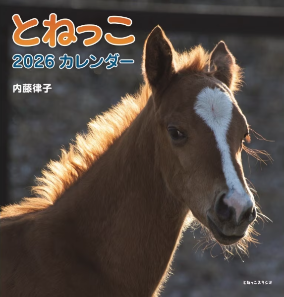 Ritsuko Naito & Nekko 2026 Pony Wall Calendar A4