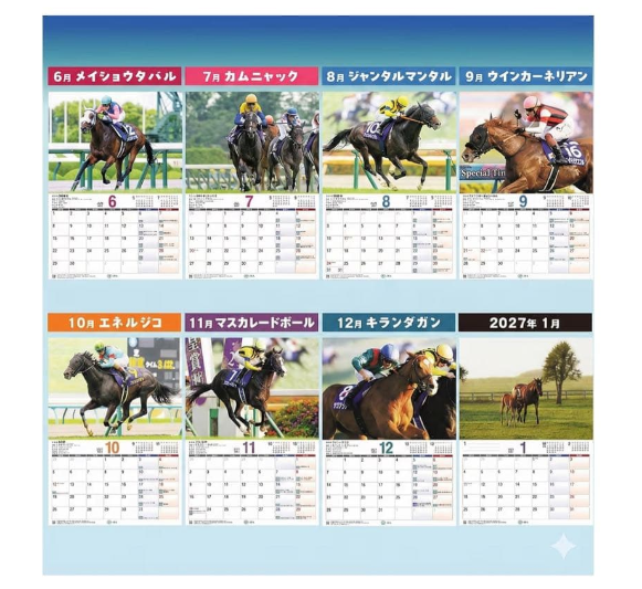 JRA 2026 Horse Racing Wall Calendar B3 Size