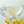 Load image into Gallery viewer, Kiki's Delivery Service Flower Bouquet Square Glass Bowl
