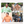 Load image into Gallery viewer, Sumo Biyori 2027 Japanese Sumo Wrestler Desk Calendar
